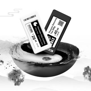 2.13インチ白黒ESL